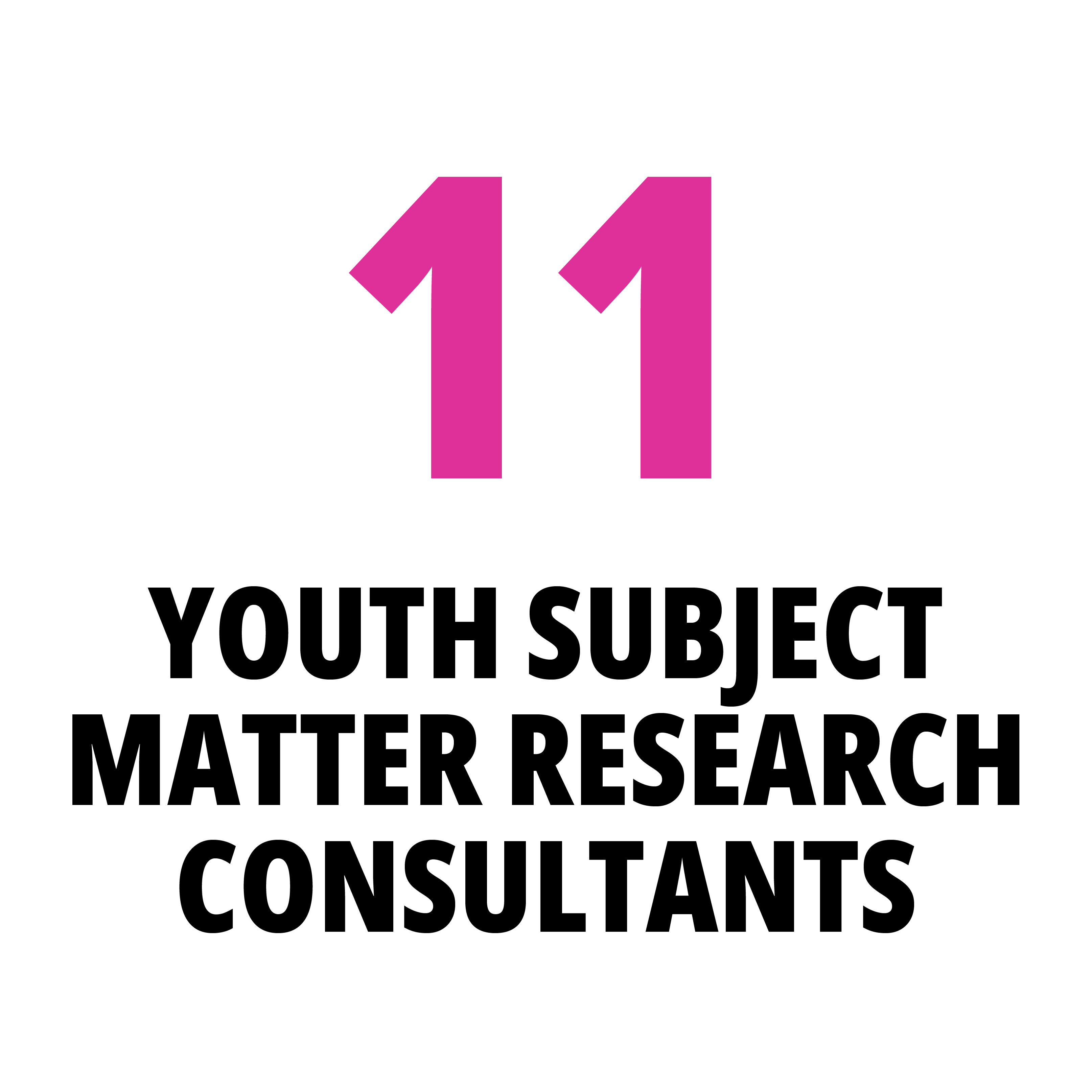 11 youth subject matter research consultants
